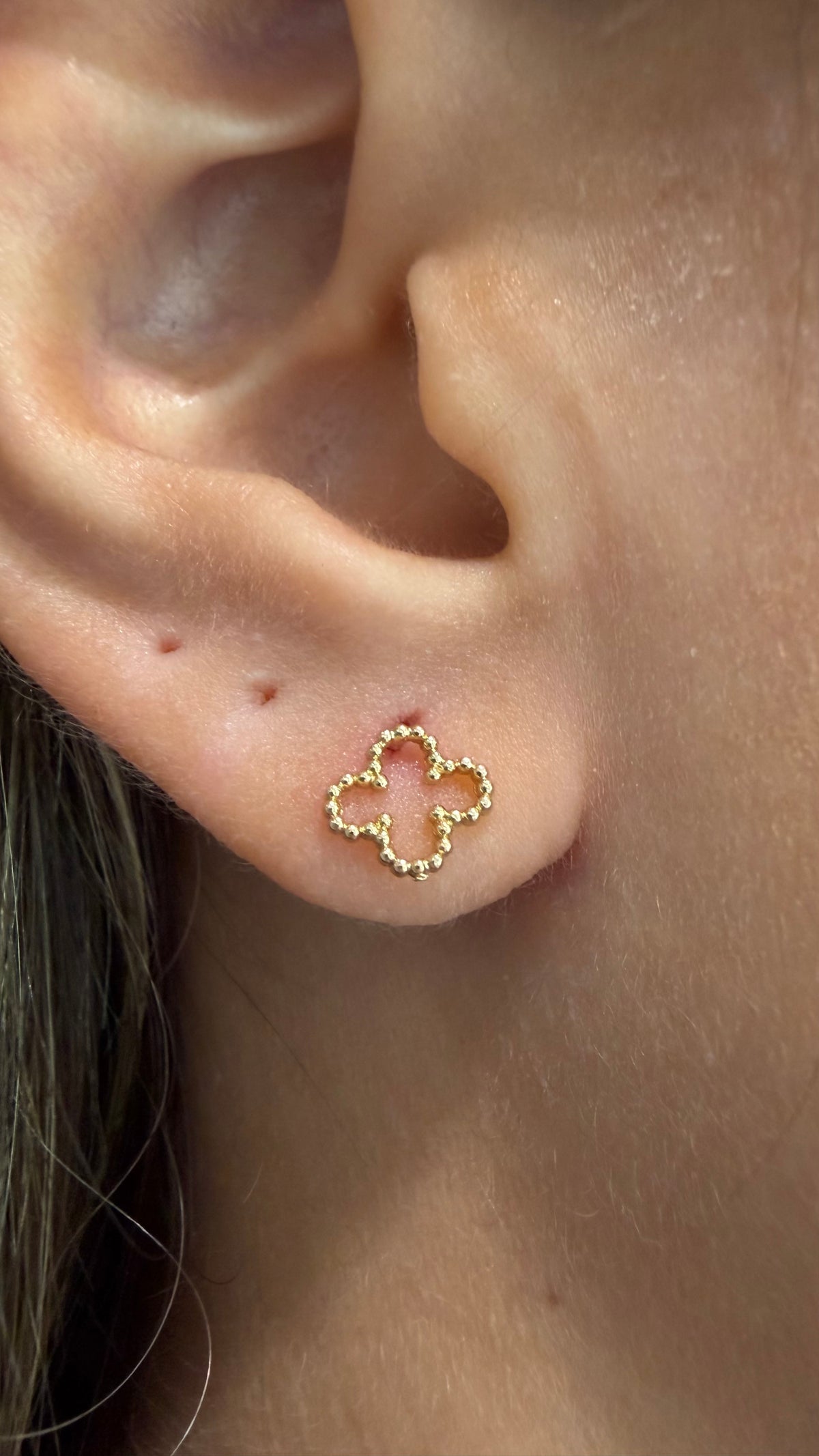 Topos Van Cleef Borde