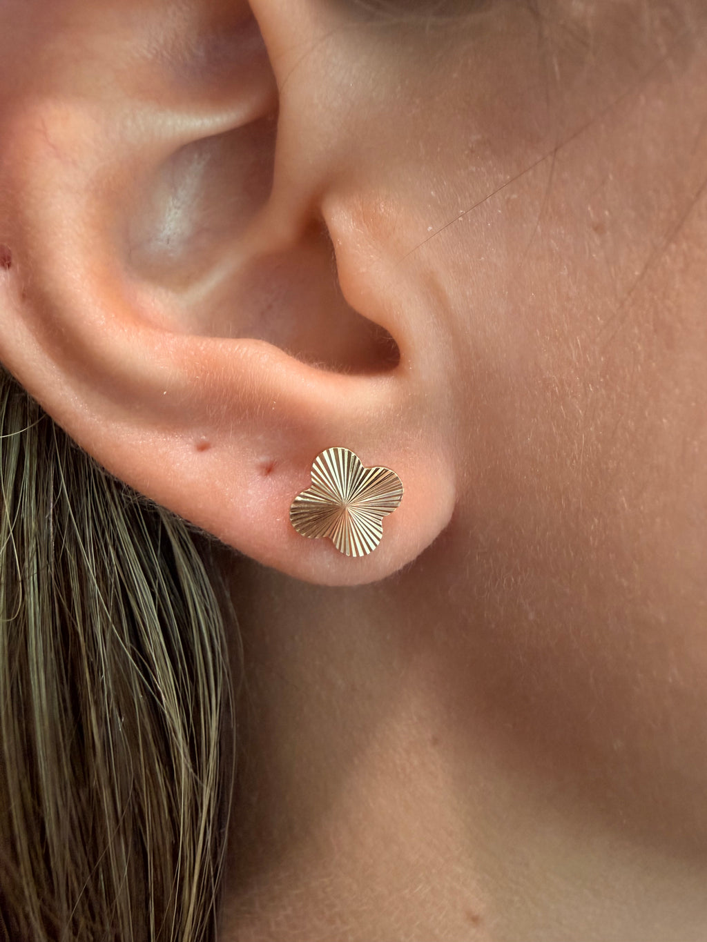 Topos Van Cleef Diamantados